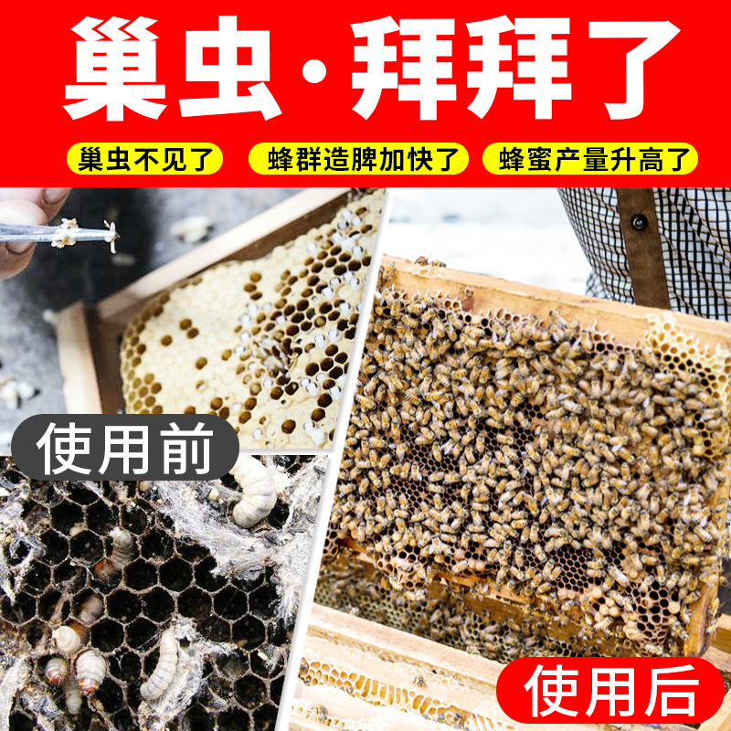 全新第四代巢虫清木片中蜂专用蜜蜂青木巢虫片蜂箱净挂片白头蛹-图1