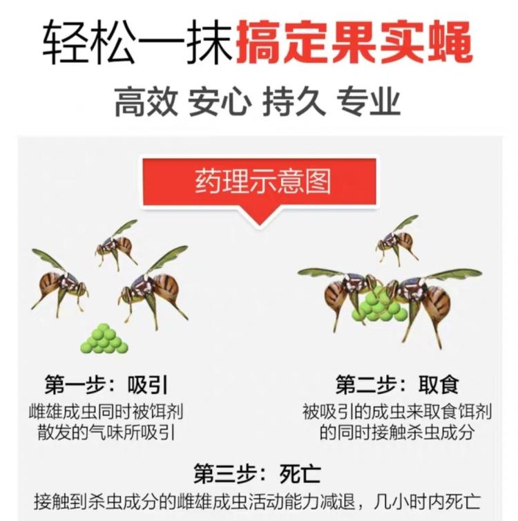 聪绿果实蝇诱芯饵剂针蜂果蛆克星柑桔橘桃李柚柿子莲雾芒果番石榴-图0