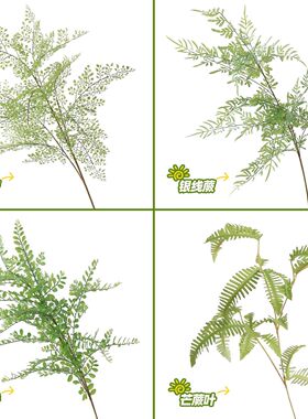 仿真绿植银线蕨九里香森系家居酒