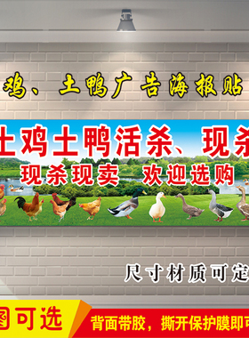 家禽店农家散养土鸡土鸭鹅广告牌