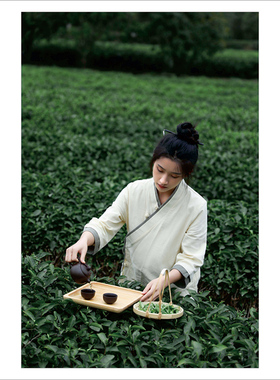 茶文化茶园采茶美少女人物摄影图