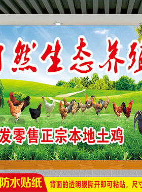 生态散养农家走地鸡土鸡广告贴画