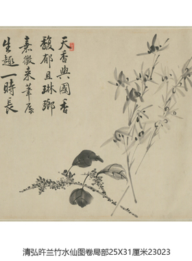 清弘旿兰竹水仙图卷花鸟画装饰画