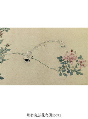 明孙克弘花鸟册花鸟画书画