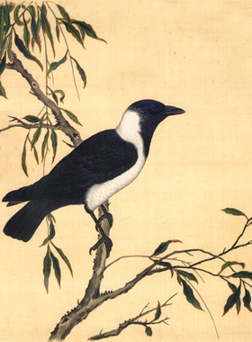新中式装饰画玄关小品清宫鸟谱
