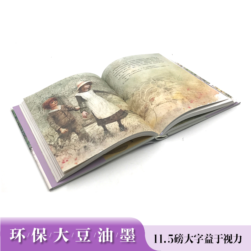 【接力出版社】秘密花园 名著名译名绘版精装插画版7-8-10岁儿童读物 外国儿童文学经典名著 中小学课外阅读书籍预售 - 图1