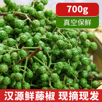 Vine Peppers Fresh Green Pepper Sichuan Special Produce 700g Vacuum Refreshing New Prickly Pepper Raw Peppers Fresh Green Pepper Fresh Pepper