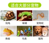 Кошачья водопроводная дозатор ПЭТ -кот Автоматический проточный питьевой вода, водопроводные водоснабжения кошки без артефакта собаки