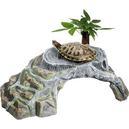 Дэн Ян Ян Дэн Ши Ши Ши Ши Ши Ши Ши Ши Ши Ши Ши Ши Ши Ши Дан Драйай