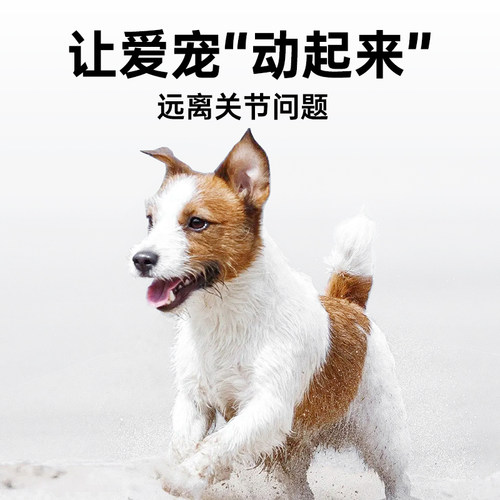 强生宠儿羊乳高钙片宠物补钙狗狗猫咪通用营养补充剂中老年幼犬 - 图1