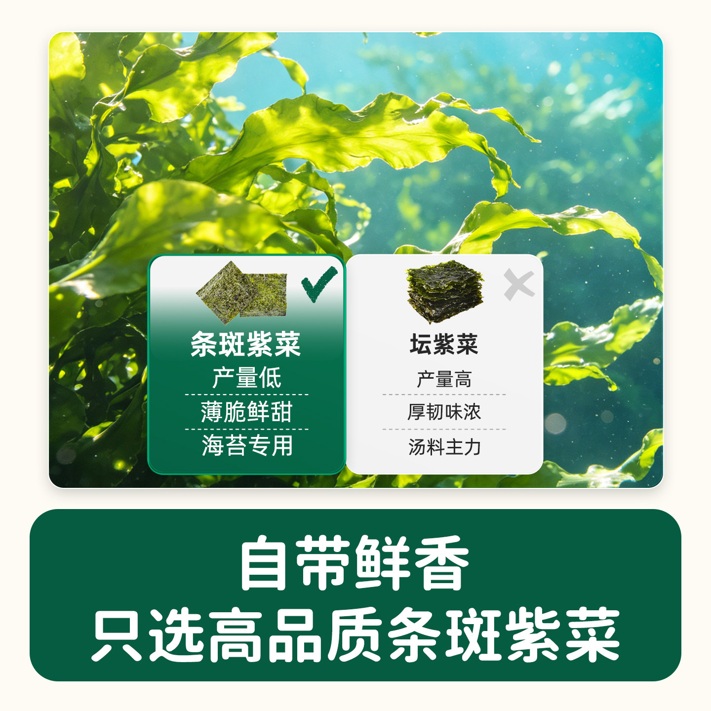 素材图