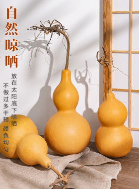 纯天然带籽葫芦摆件招财响籽葫芦招财进宝镇宅书房桌面办公室