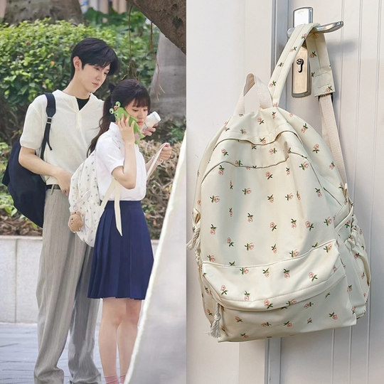 网红中学生书包初中女生高颜值小众ins风2025新款高中生双肩背包