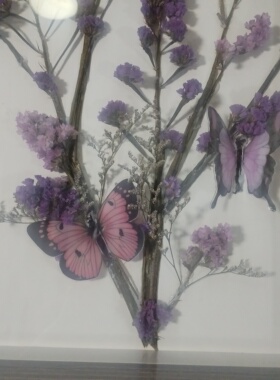 手工装饰画16寸diy蝴蝶干花相框摆台挂画客厅装饰