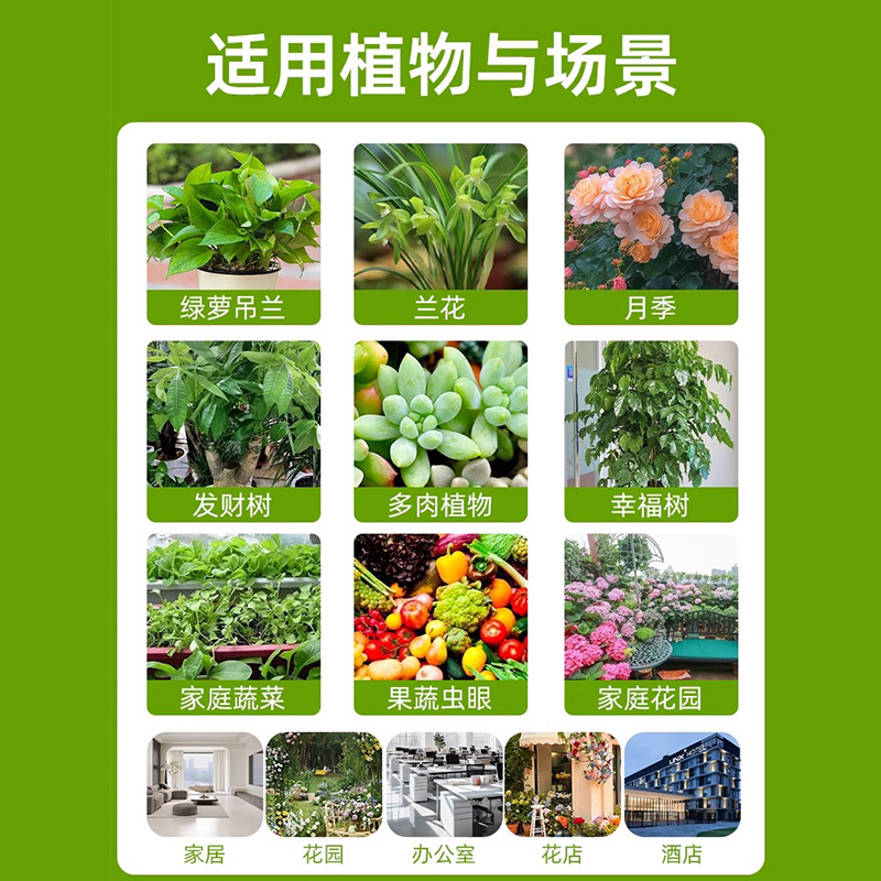 罗汉松杀虫剂菌药非无毒非红蜘蛛新叶蚜白粉黑斑病腐根蚧壳腻虫药