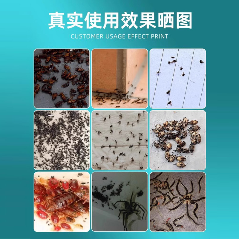 杀虫剂家用室内非无毒蟑螂药非全窝端药灭蚂蚁除虫驱虫喷雾剂神器