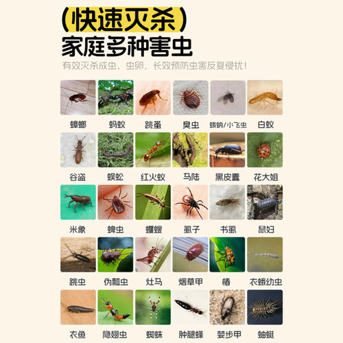 杀虫剂家用室内非无毒杀爬虫多种虫灭小飞虫驱虫喷雾蟑螂药气雾剂 - 图0