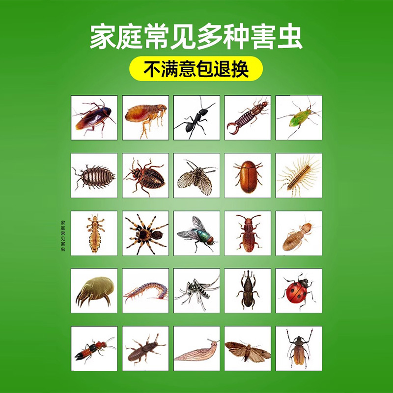 杀虫剂家用室内蟑螂药全窝蚂蚁药灭除驱虫驱虫喷雾剂神器非无毒端
