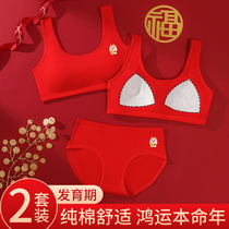 Girls life underwear suit 2024 Childrens large red hair growing period small vest pure cotton big child bra cover