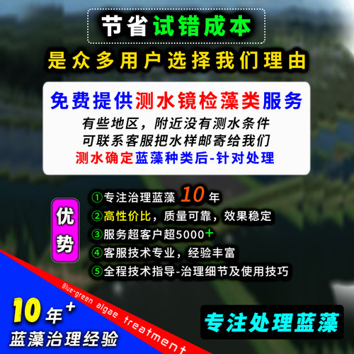蓝藻分解精蓝藻净分解酶素水产养殖鱼塘除绿藻蓝藻速灭鱼池除藻剂 - 图0