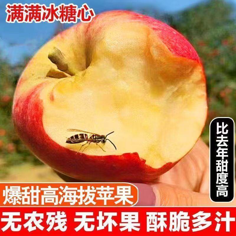 头茬现摘正宗山西红富士苹果冰糖心丑苹果当季新鲜水果批发价多汁,淘宝优惠券,粉丝福利购,淘宝优惠卷