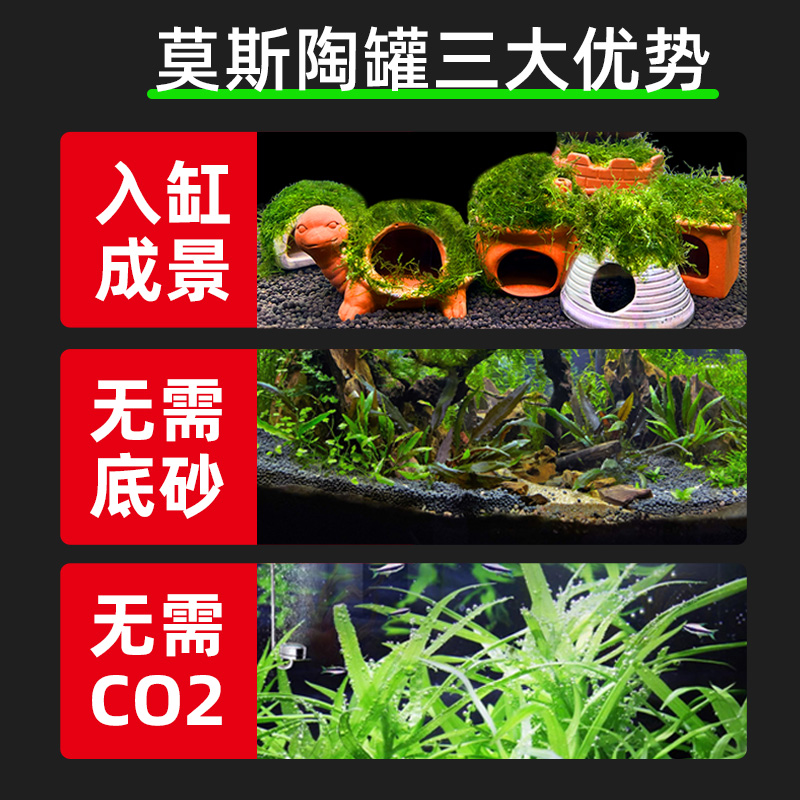 鱼缸水草造景莫斯水草懒人真植物鱼虾躲避罐虾屋小摆件小鱼躲避屋-图1