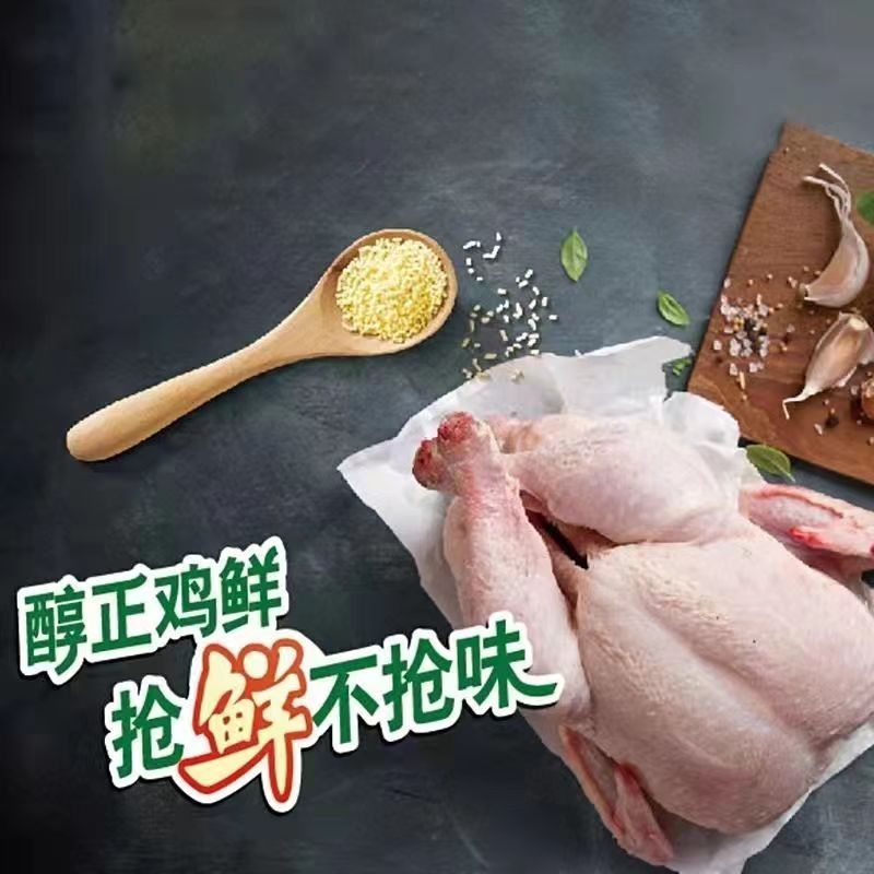 辛味道土鸡鲜精200g提鲜鸡精煲汤炒菜提味增鲜替代味精家用调味料 - 图2