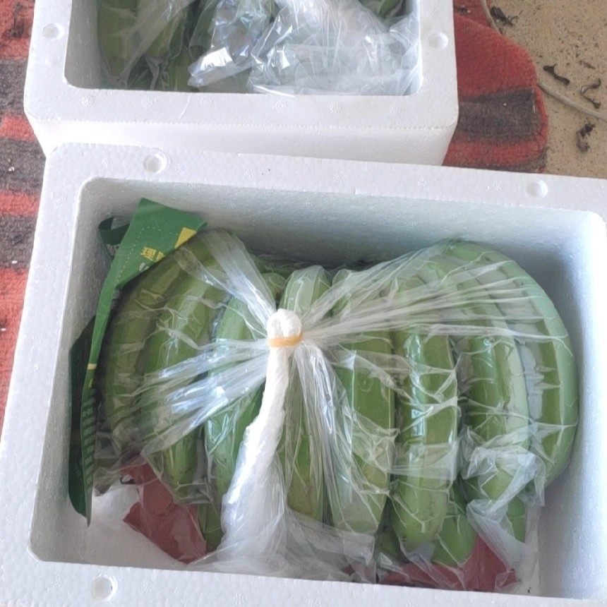 云南高山绿皮甜香蕉自然熟青皮威廉斯山野芭焦新鲜水果整箱,淘宝优惠券,粉丝福利购,淘宝优惠卷