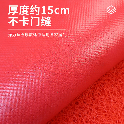 入户门地垫进门大门口出入平安门垫2025新款丝圈脚垫门外地毯防滑 - 图3