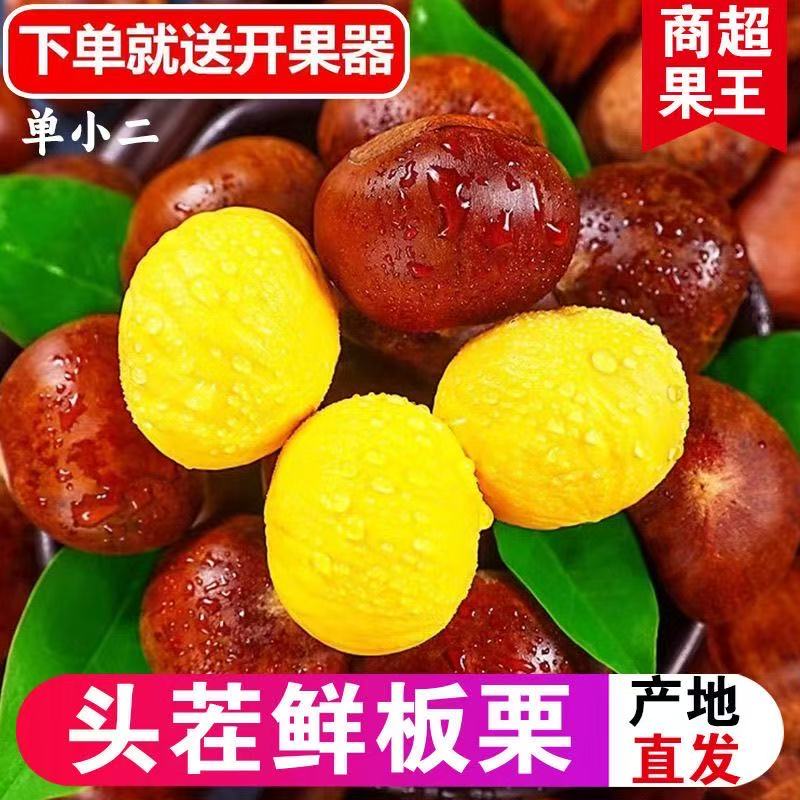 正宗丹东板栗当季新货新鲜板栗栗子高山农家毛栗子净重2.8/4.8斤