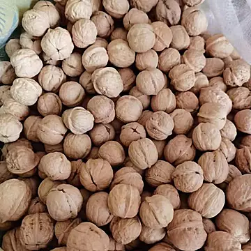 【北漠果业】新疆薄皮核桃500g*2袋[10元优惠券]-寻折猪