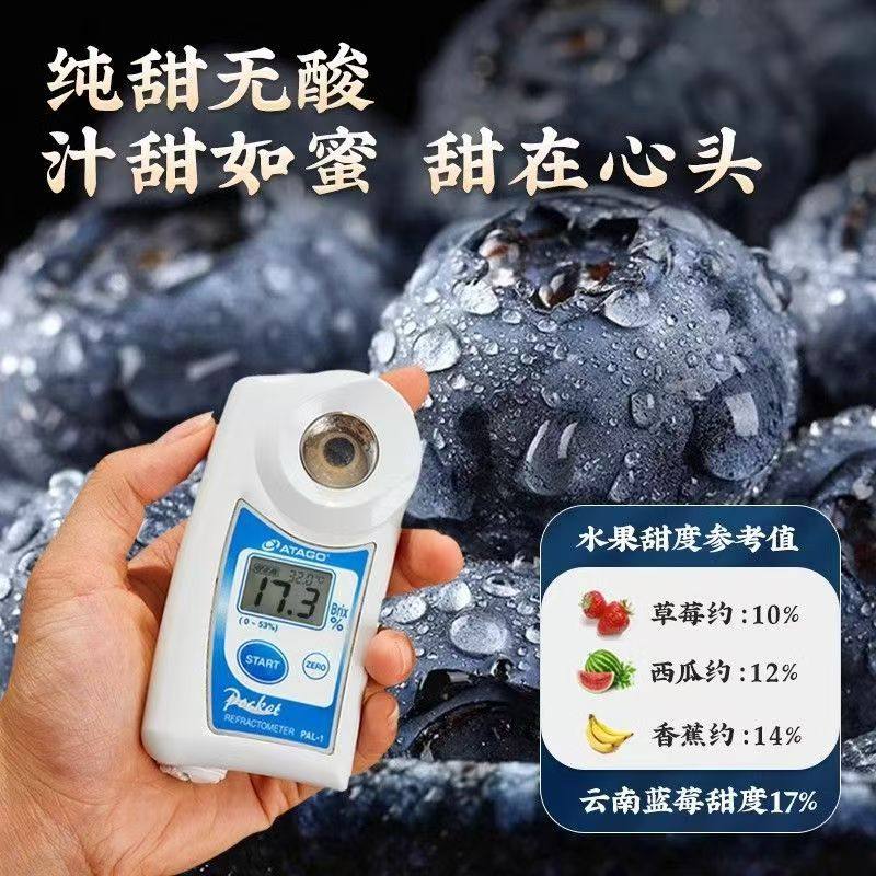 云南高山蓝莓鲜果新鲜水果当季怡颗蓝莓高山L25花香现摘整箱包邮,淘宝优惠券,粉丝福利购,淘宝优惠卷