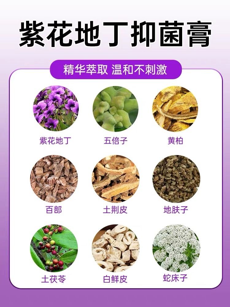 紫花地丁药膏透皮抑菌乳膏婴幼儿童软膏皮肤外用湿疹止痒专用正品-图1