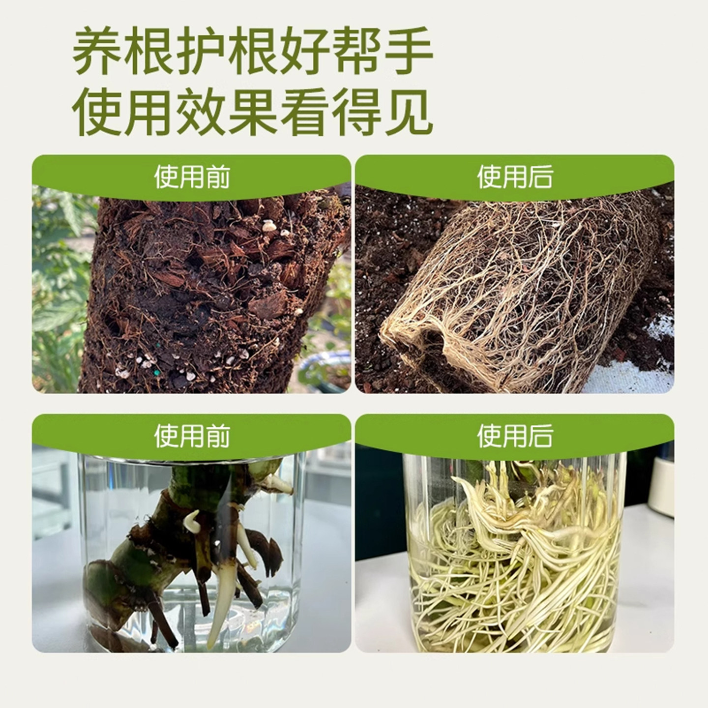 强力生根粉多灵菌快速扦插植物通用花卉果树木移栽专用营养肥料,淘宝优惠券,粉丝福利购,淘宝优惠卷