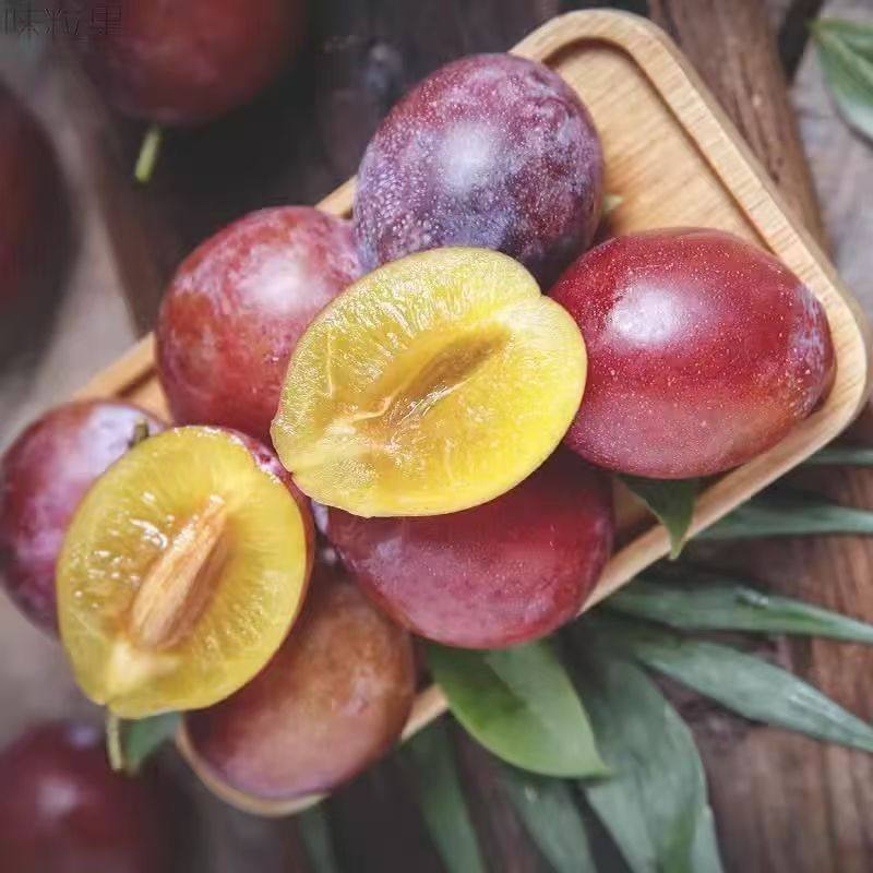 现货 智利西梅大果甜李子新鲜水果孕妇法兰西西梅当季批发包邮,淘宝优惠券,粉丝福利购,淘宝优惠卷
