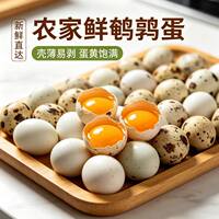 50枚/整箱！农家新鲜自产散养生鹌鹑蛋
