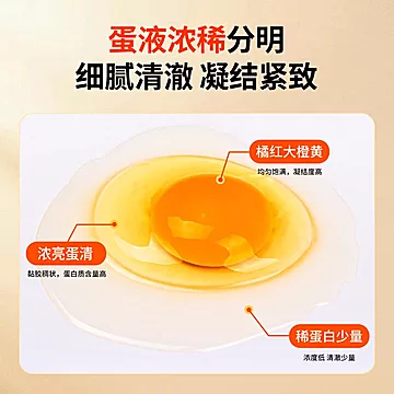 正宗农家散养土鸡蛋20枚[2元优惠券]-寻折猪