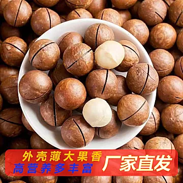 新货奶香味夏威夷果500g装[2元优惠券]-寻折猪