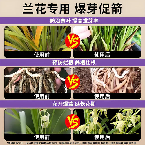 兰花多箭素爆芽素专用营养液剑催花延治黄叶肥料水溶肥开花植物 - 图2