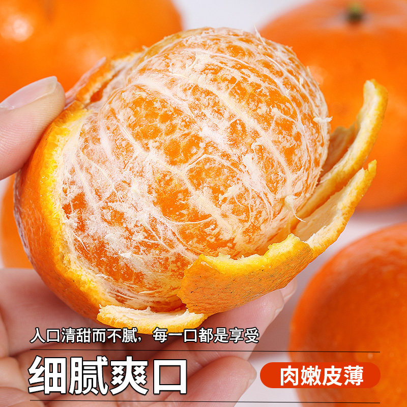 正宗广西武鸣沃柑新鲜水果当季整箱大果桔子砂糖沙蜜橘柑橘子