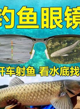 太阳眼镜男士开车专用墨款