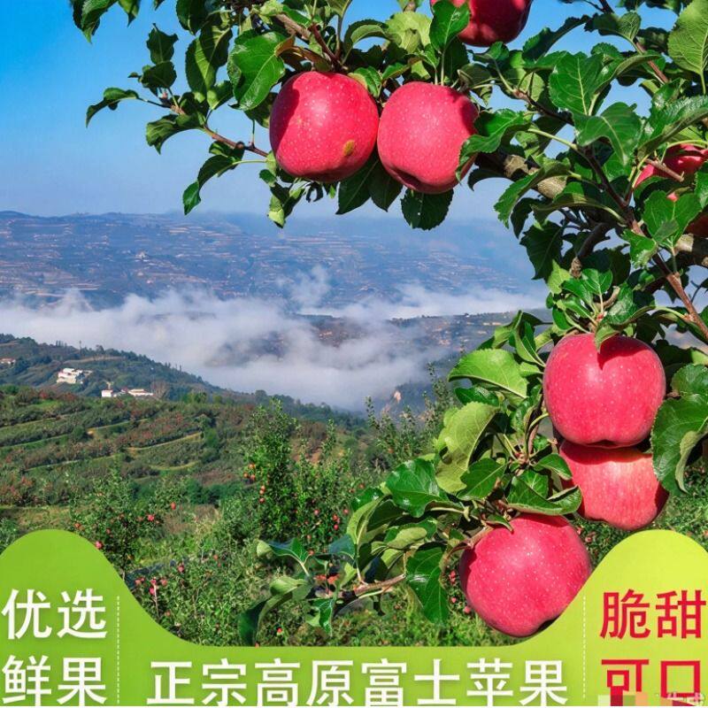 图 3
