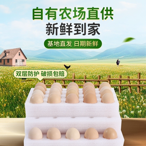 乡朴黑鸡蛋始祖黑鸡新鲜鸡蛋谷物柴鸡蛋无抗正宗土鸡蛋鲜鸡蛋顺丰