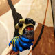 Delta Insect Doll Pendant Plush Toy Doll ສ້າງສັນເກມ Doll Peripheral ສໍາລັບຂອງຂວັນວັນເກີດຂອງເດັກຊາຍ