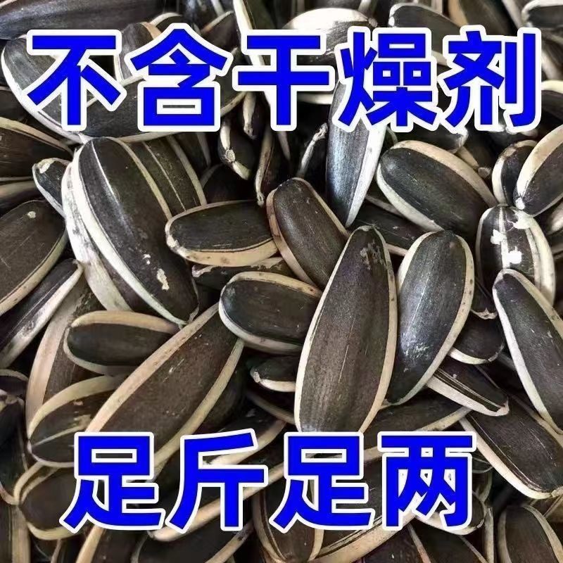 内蒙新炒葵瓜子原味葵花子瓜子生熟年货零食炒货大颗粒散装现炒,淘宝优惠券,粉丝福利购,淘宝优惠卷
