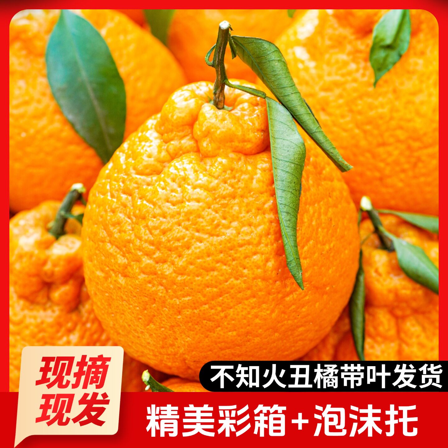四川丑橘新鲜水果丑八怪当季孕妇手剥泡沫托彩箱不知火桔子现摘