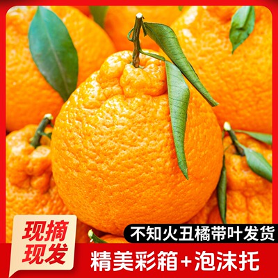 四川丑橘新鲜水果丑八怪当季孕妇手剥泡沫托彩箱不知火桔子现摘