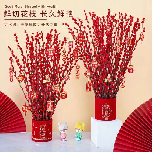 银柳鲜枝真花年宵花卉红色干花福桶银柳水培植物鲜花客厅室内装饰 - 图1
