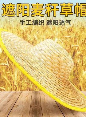 麦秆宽檐防晒草帽|超1000次加购