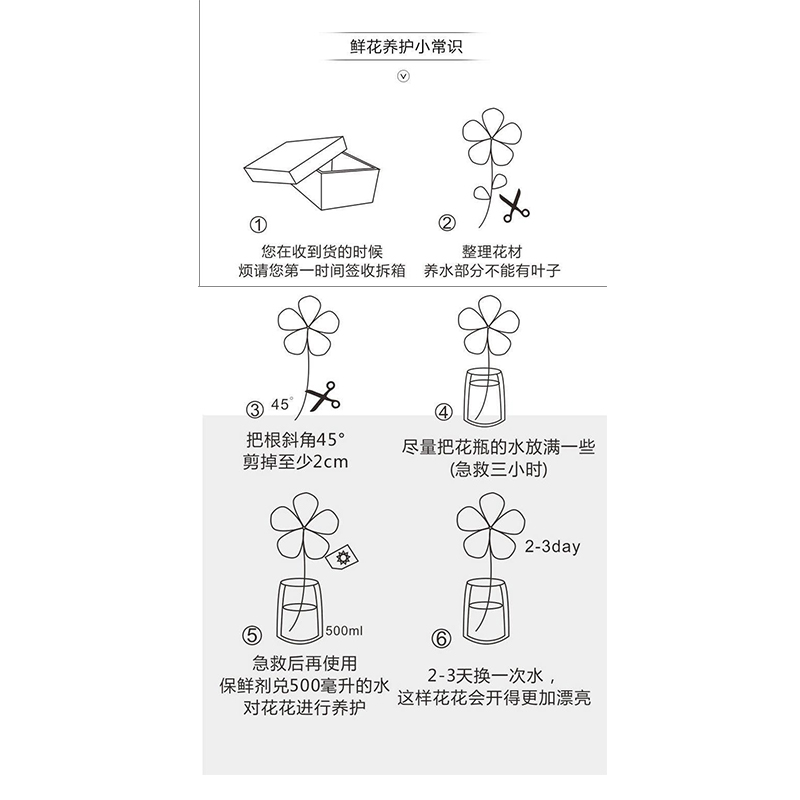 向日葵鲜花花束云南直发昆明基地家用客厅水养瓶插花教师节送老师 - 图2